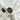 PIXXIESX SOLE BLACK PIXXIESX