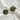 PIXXIESX SOLE GREEN PIXXIESX