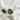 PIXXIESX SOLE GREEN PIXXIESX