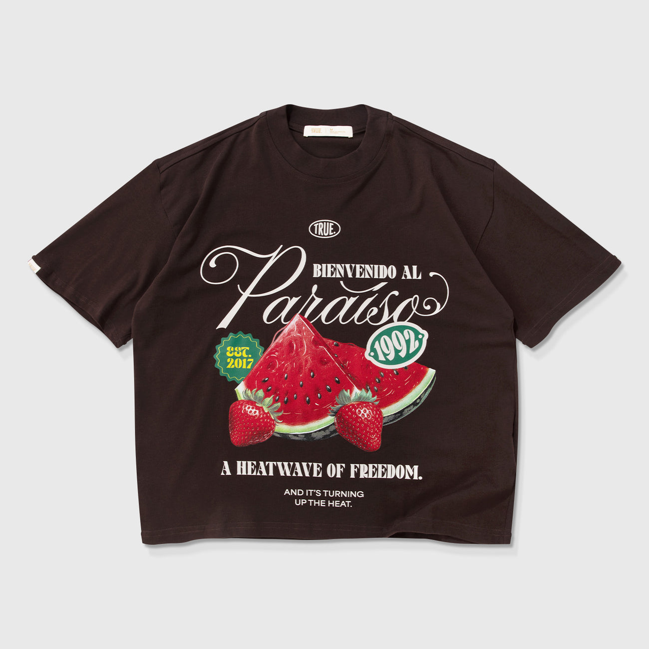 Paraíso Boxy Tee - Brown TRUE